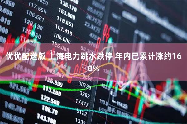 优优配送版 上海电力跳水跌停 年内已累计涨约160%