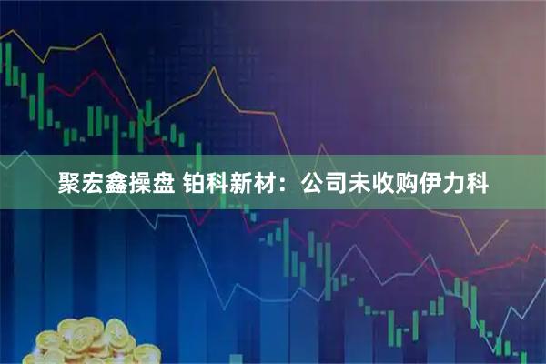 聚宏鑫操盘 铂科新材：公司未收购伊力科