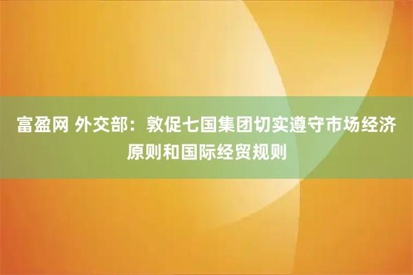 富盈网 外交部：敦促七国集团切实遵守市场经济原则和国际经贸规则