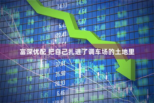 富深优配 把自己扎进了调车场的土地里